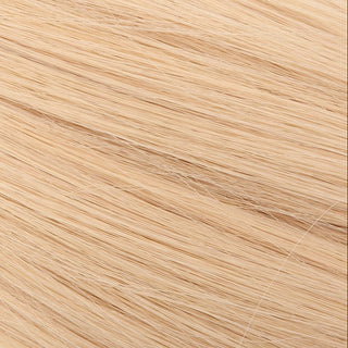 Pearl Silk |No. 10.01